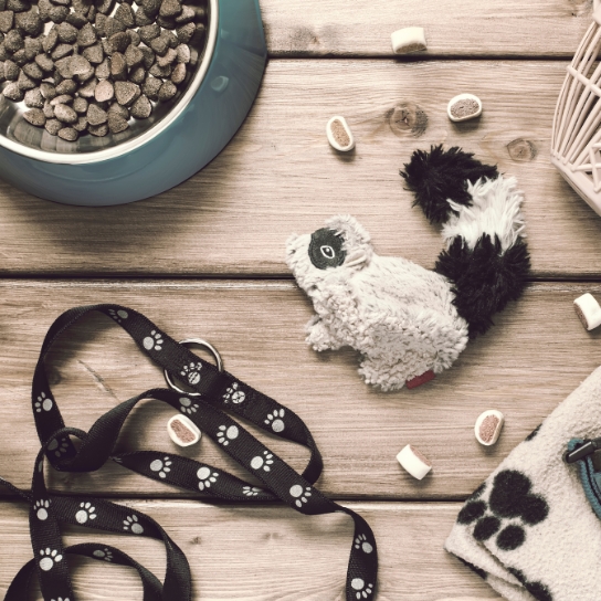 Spray bottle with cleaning liquids and colored sponges